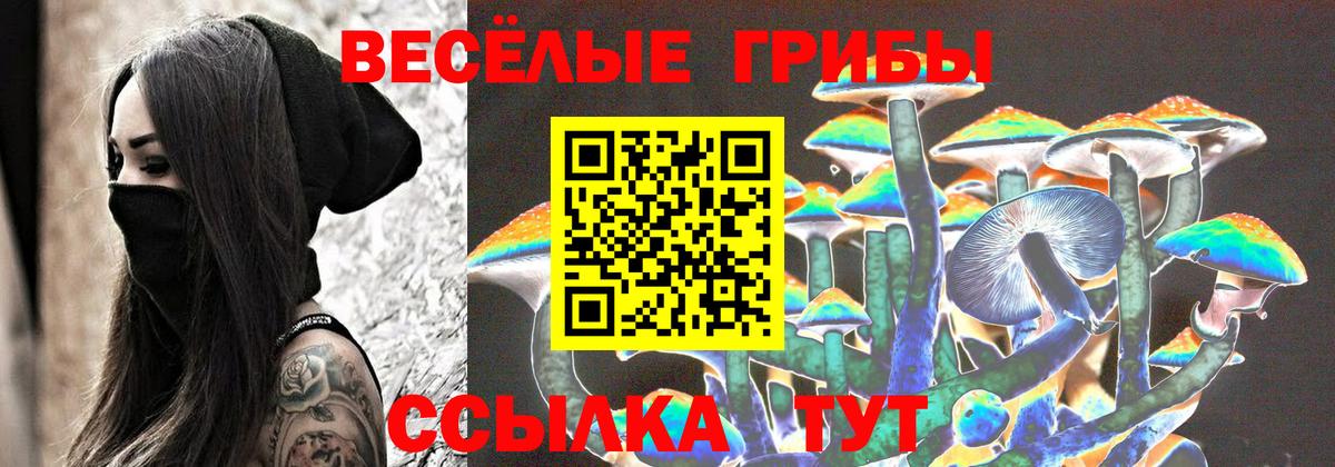Галлюциногенные грибы Psilocybe  Псилоцибиновые грибы Psilocybine cubensis  купить  цена  Вход с VPN  Ступино 