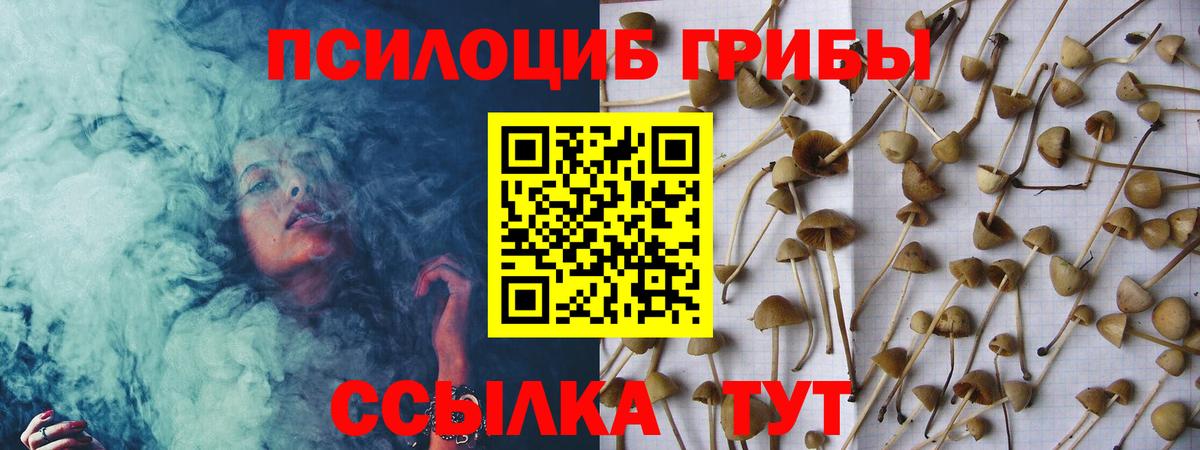 Галлюциногенные грибы MAGIC MUSHROOMS Ступино